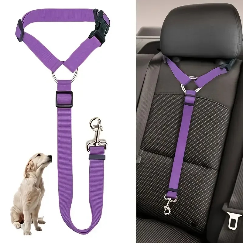 Verstellbarer Anti-Flucht-Auto – Rescue Rope Throw Bewertung und Preis